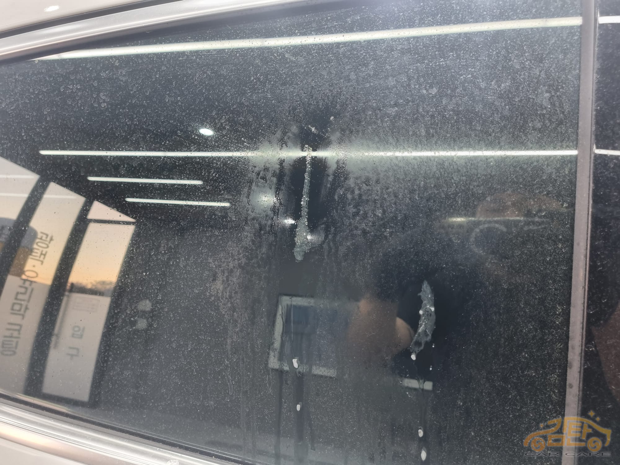 나무 수액 및 송진 제거